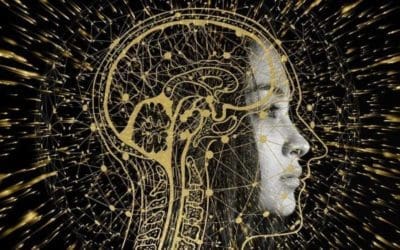 How “Intelligent” Do Leaders Need to Be?